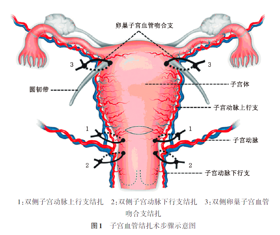 13c6fc0307bf076af95ebbd9d8cb8234.jpg